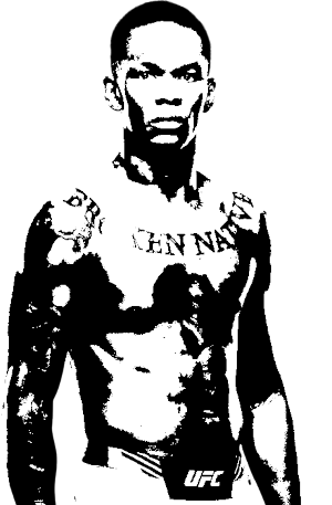 Image of fighter undefined