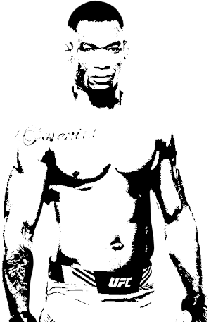 Image of fighter undefined