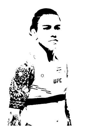 Image of fighter undefined