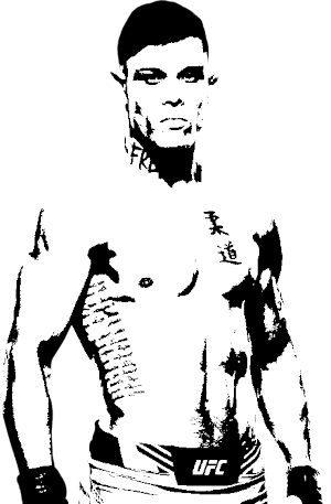 Image of fighter undefined