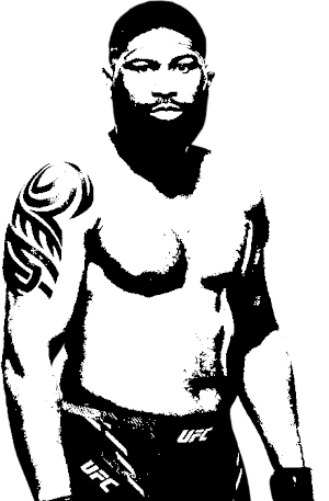 Image of fighter undefined