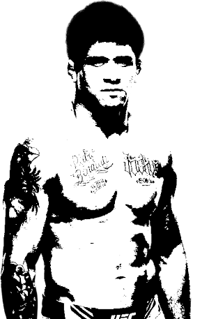 Image of fighter undefined