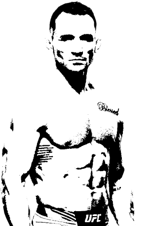 Image of fighter undefined