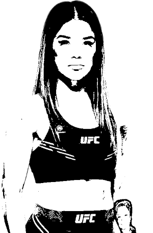 Image of fighter undefined