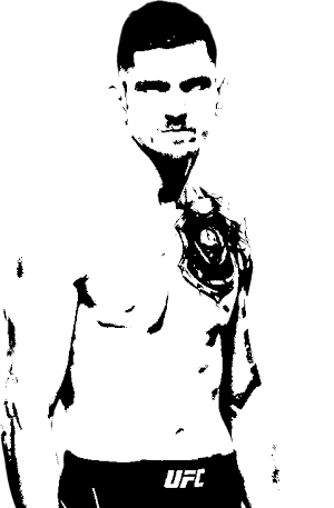 Image of fighter undefined