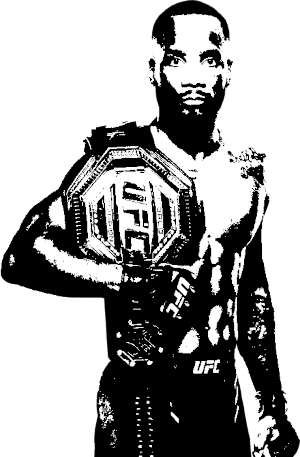 Image of fighter undefined