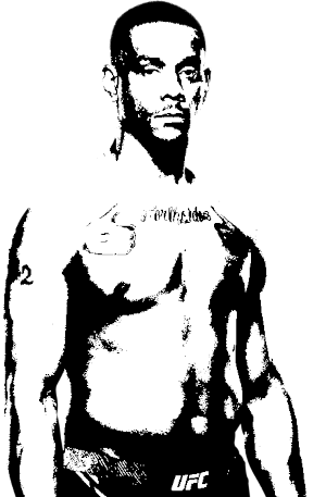 Image of fighter undefined