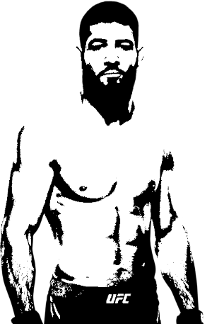 Image of fighter undefined