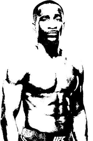 Image of fighter undefined