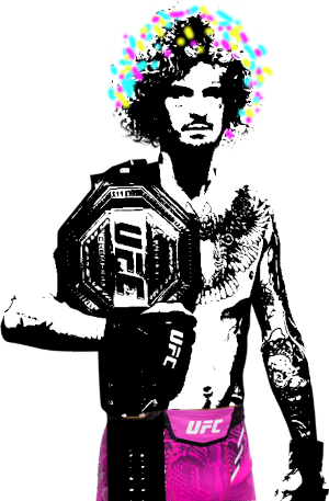 Image of fighter undefined