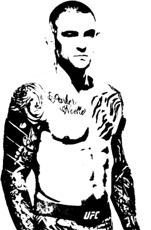 Image of fighter undefined