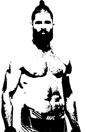 Image of fighter undefined