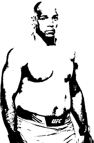 Image of fighter undefined