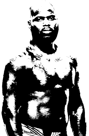 Image of fighter undefined