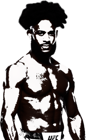 Image of fighter undefined