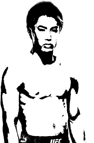 Image of fighter undefined