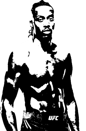 Image of fighter undefined