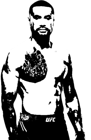 Image of fighter undefined