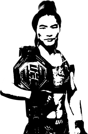 Image of fighter undefined