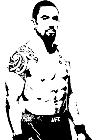 Image of fighter undefined